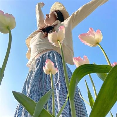 搜索并摧毁