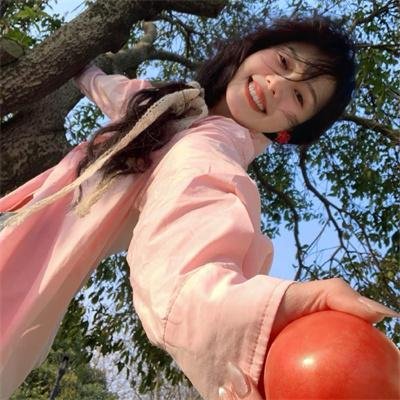 做一只鸟真不容易